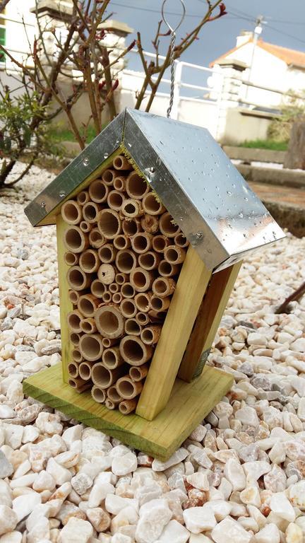 Authentique Gite 1950 Poitiers Futuroscope Aquascope, 1A9Prsn, 3 Pkg, 3 Etoiles A 6Prsn Et 3 Appoints Eco-Responsable Exterior foto